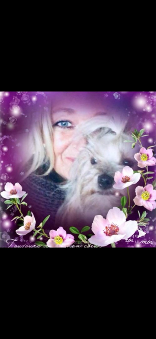 Profiilikuva käyttäjälle: käyttäjä