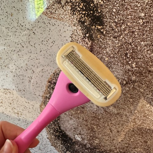 Estrid The Razor Starter Kit Guava | lyko.com