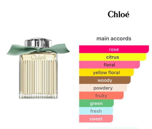 Chloé Rose Naturelle Eau de Parfum 100 ml | lyko.com