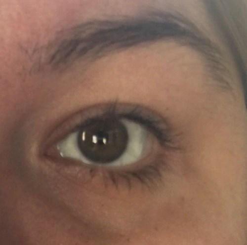 essence eyelash curler