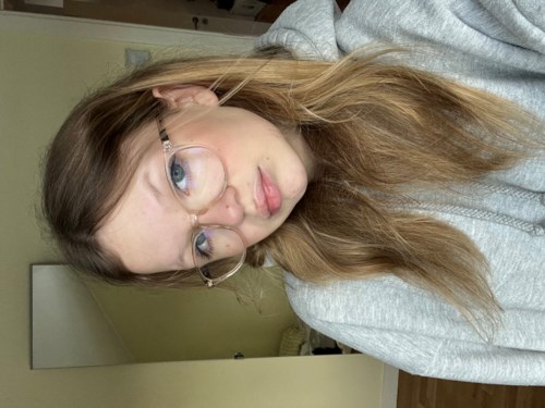 essence Bronzer Brush