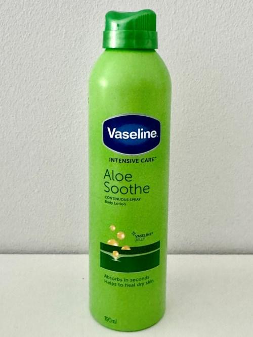 aloe vera freiland Aloe Vera Pflanze - echter Aloe Vera