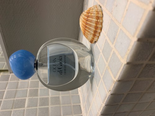 Armani ocean di online gioia