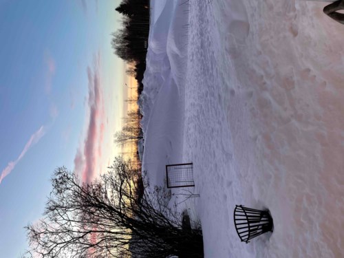 Profielfoto voor: gebruiker