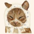 Profile image for: user