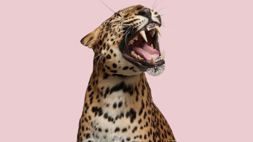 Profile image for: user