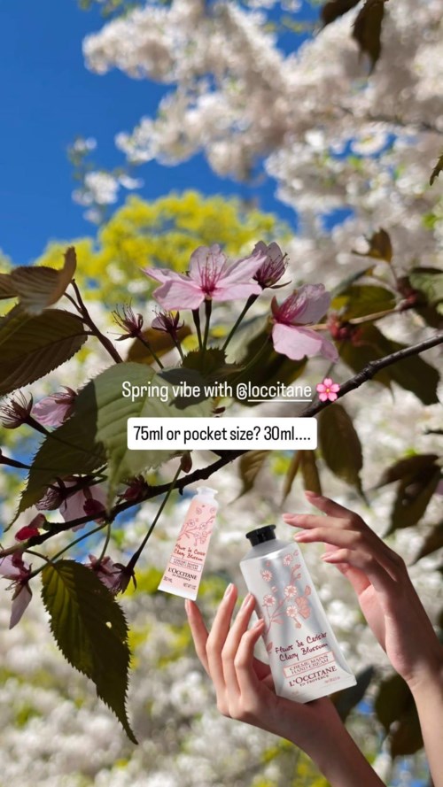 L'Occitane en Provence Fleurs De Cerisier (Cherry Blossom) Hand