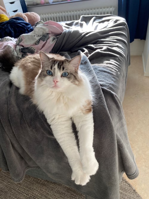 Profilbild för: användare