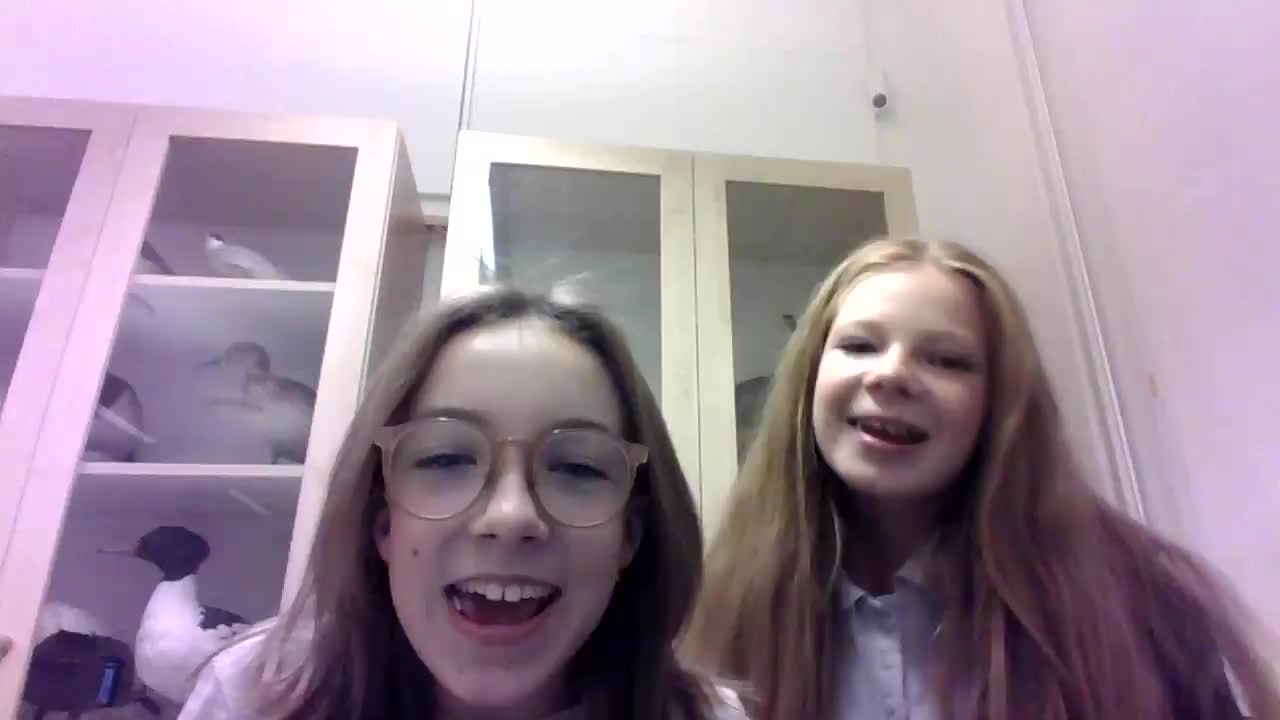 Användarvideo