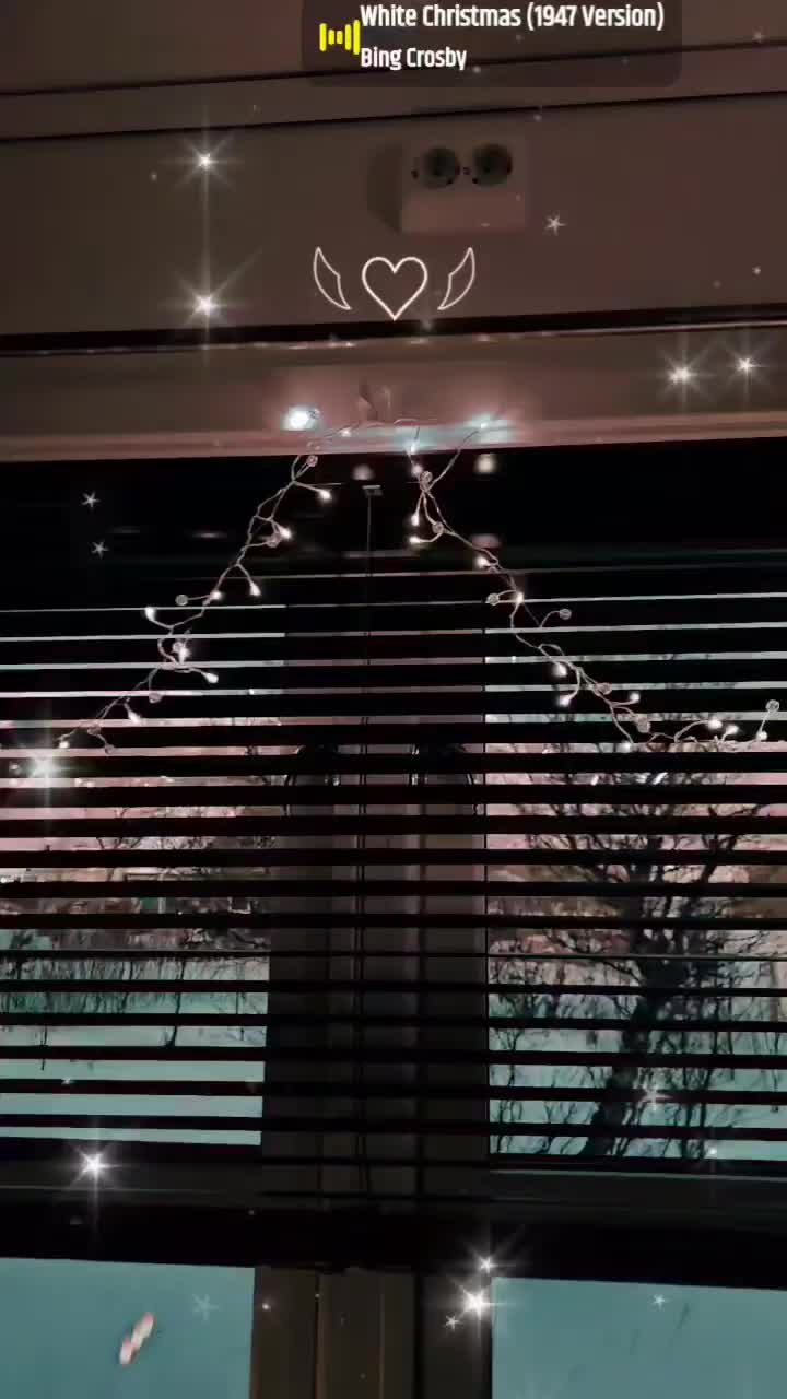 Brukervideo