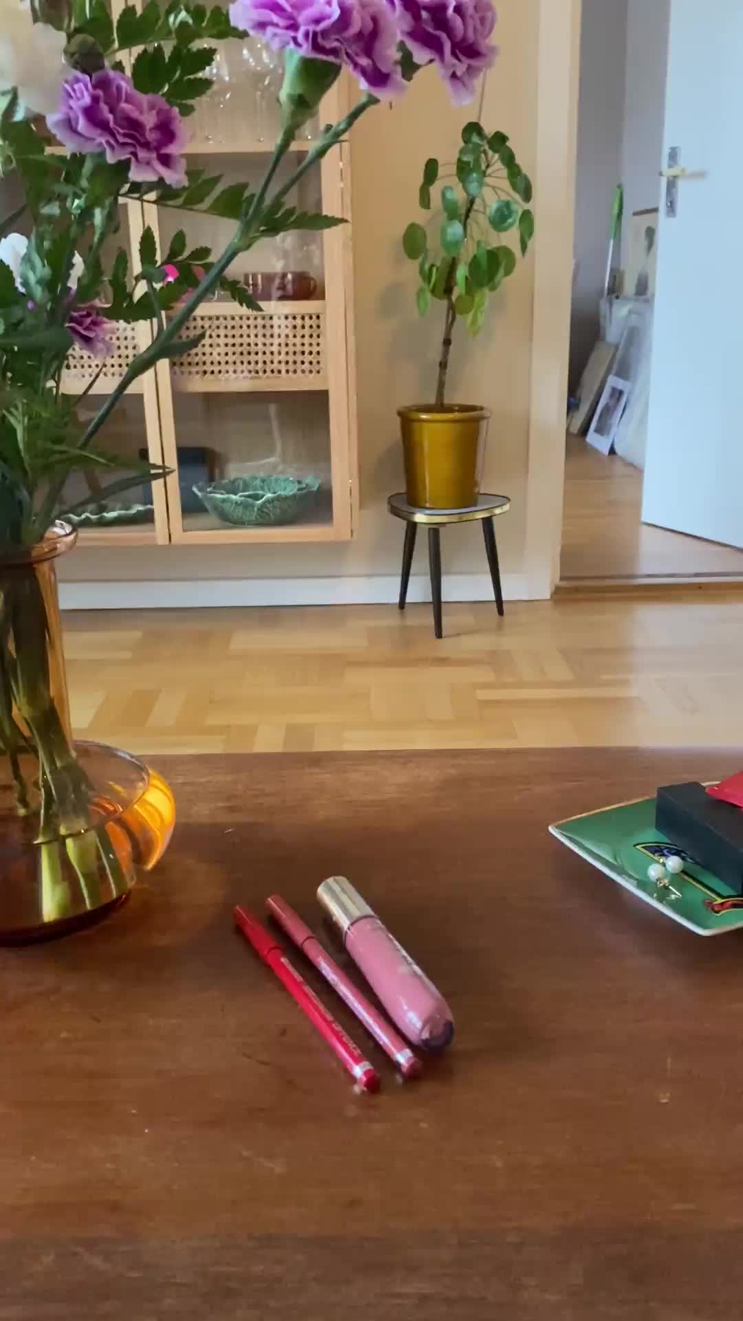 Användarvideo