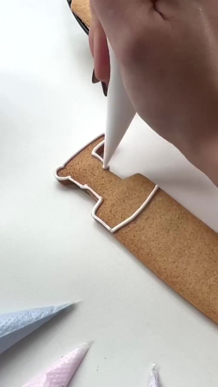 Användarvideo