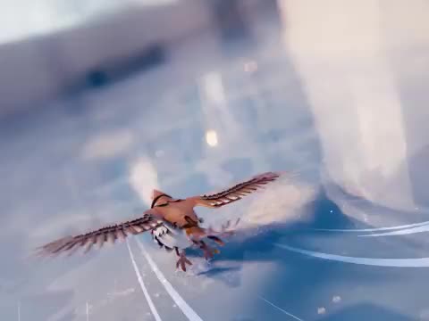 Användarvideo