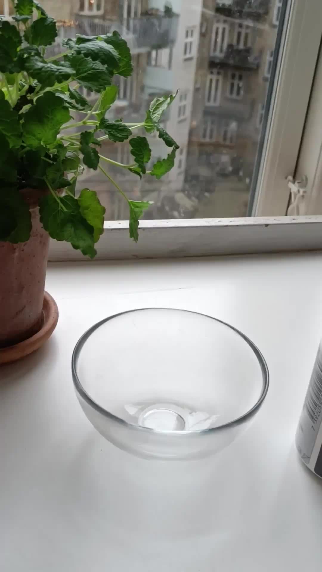Brugervideo