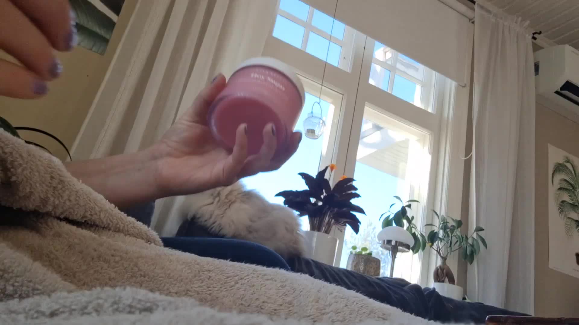 User Video