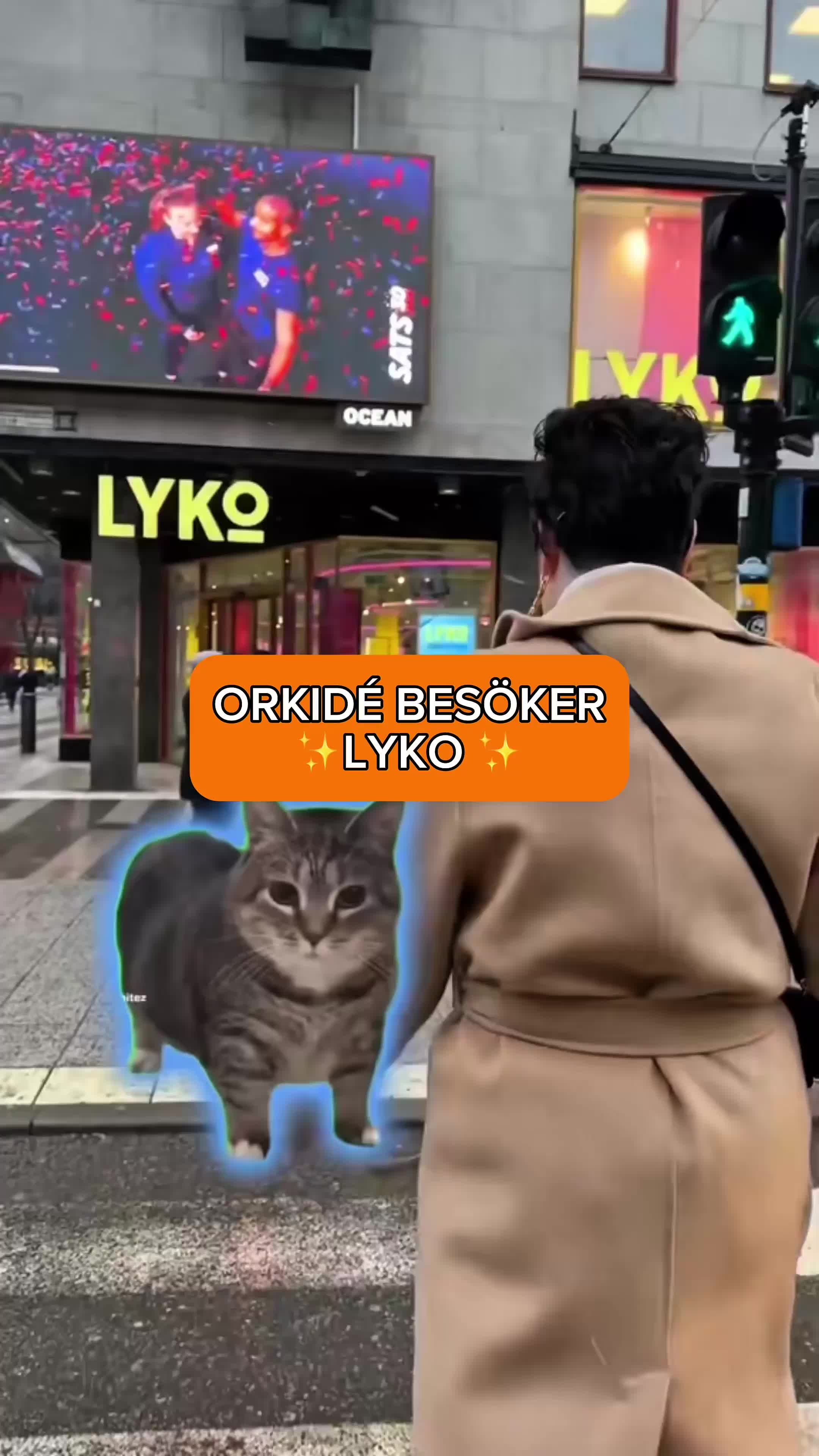 Användarvideo
