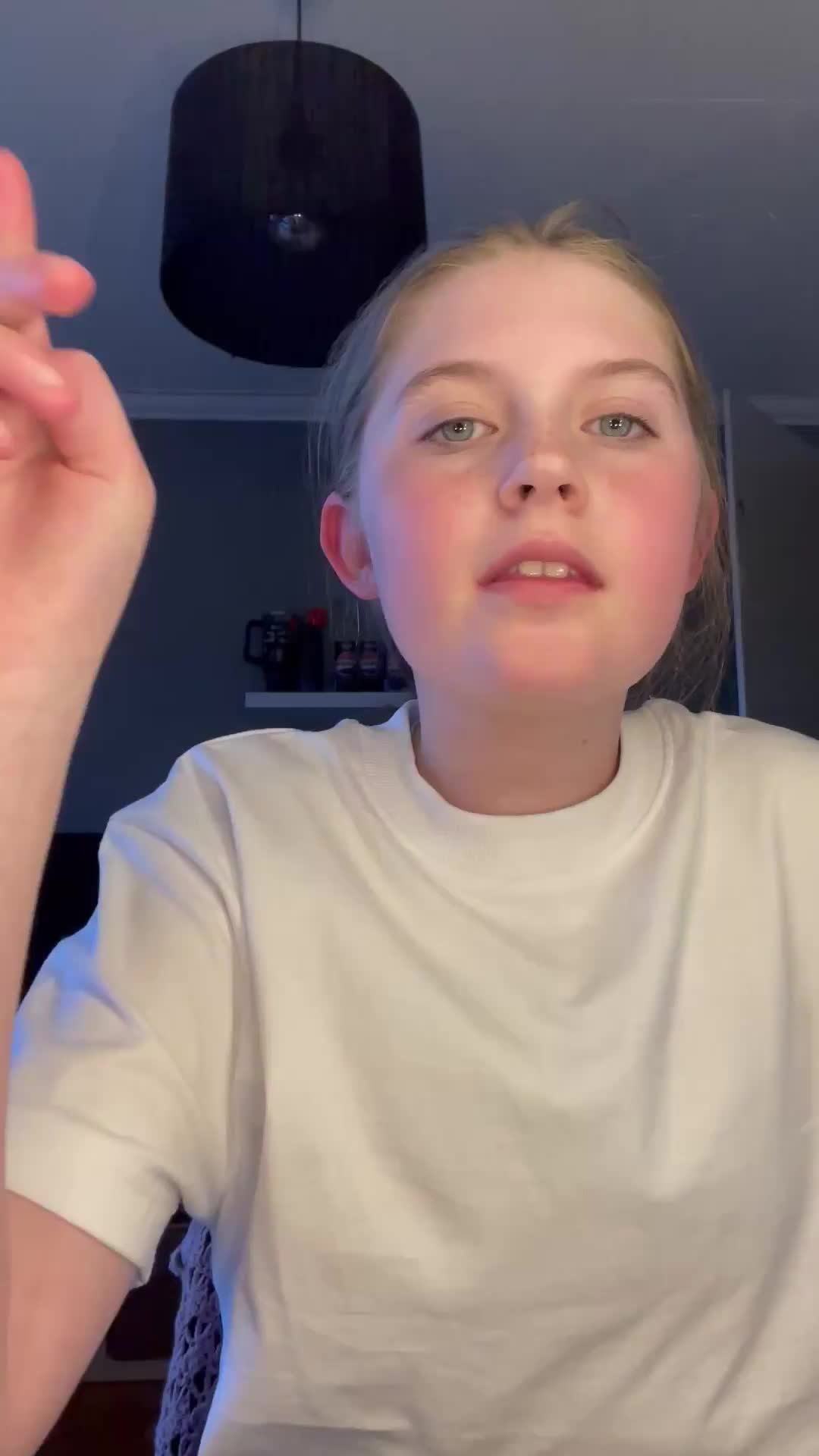 Brukervideo