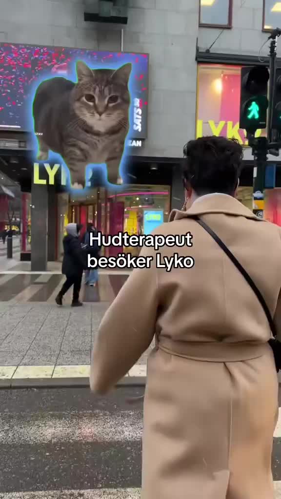 Användarvideo