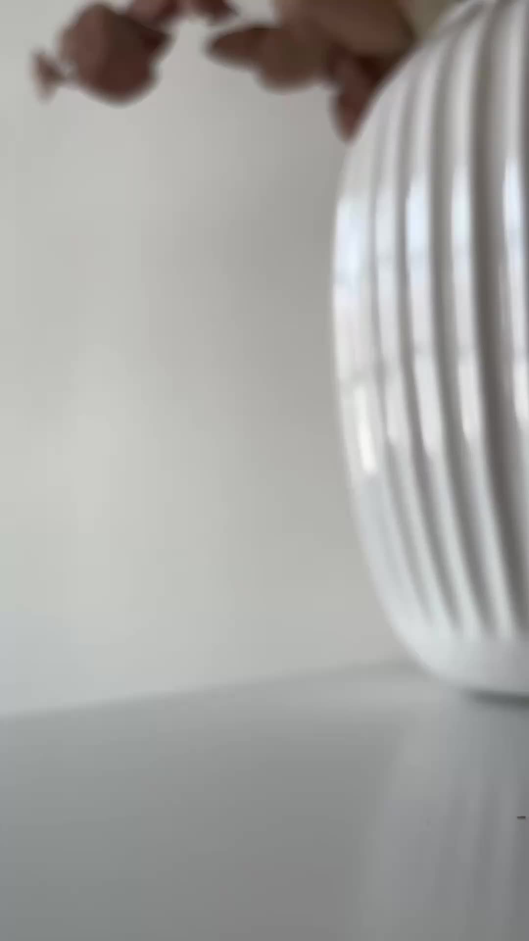 User Video