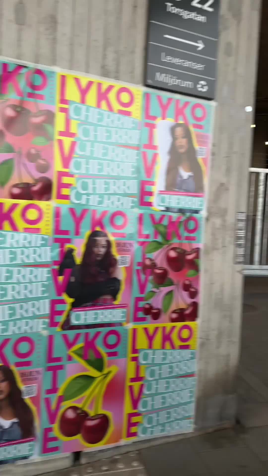 Användarvideo