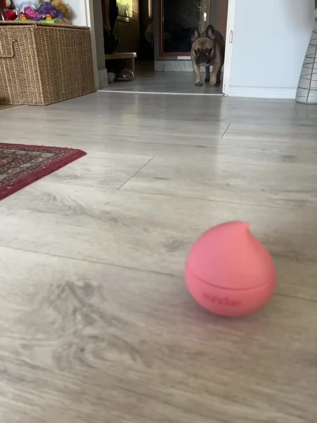 Benutzervideo